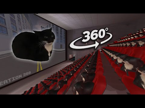 Maxwell The Cat 360° - Cinema Hall | Vr360° Experience