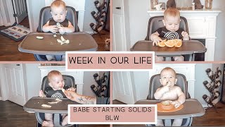 ✨Introducing Solids to Baby✨ First Week BLW✨