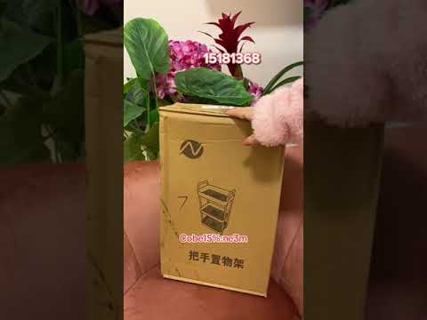 طلبية شي ان للبيت مع رقم المنتج لكل القطع