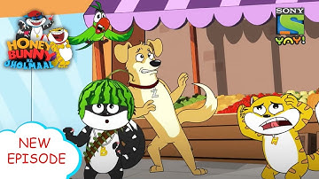 नटकट पिगमेंद्र | Funny videos for kids in Hindi | बच्चों की कहानियाँ | हनी बन्नी का झोलमाल