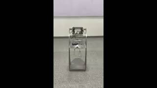 Voice control robot using raspberry-bi
