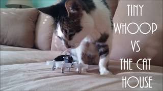 Tiny Whoop VS The Cat House