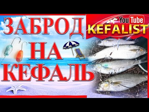 ვიდეო: როგორ მოხვდეთ ტრანსში