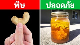 100 สิ่งต้องห้ามทั่วโลกที่จะทำให้คุณตะลึง!