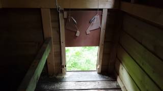 chicken pi raspberry door coop