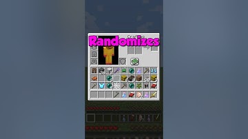 Minecraft, But My Inventory Randomizes Every 30 Seconds!