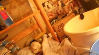 Baby Balloon Belly Mollies