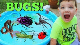 Learn Names of Bugs with Insect Toys For Kids! Learn Colors with Bugs and Caleb \& Mommy