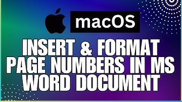 How to Insert and Format Page Numbers In a Microsoft Word Document-For MAC Users