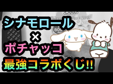 サンリオくじ シナモン ポチャッコ 激アツコラボくじで神引き 424 Youtube