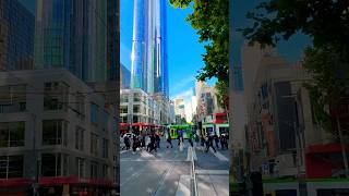 Melbourne Australia #tram #tramspotting #travel