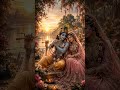 राधे कृष्ण का प्रेम आपके दिन को सुंदरबनाए ✨”#krishna #radhakrishna #morning #viral #viralshorts