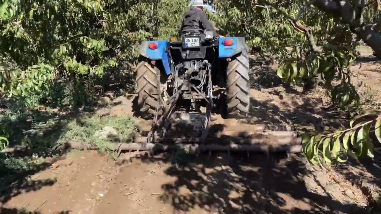 New Holland TT50 Bahçe tırmıklama.