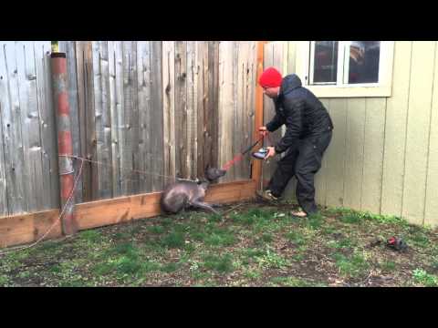 IMG 4629