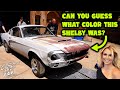 RESCUED: 1 of 200 GT500 Shelby Mustangs Stored Since 1982!!