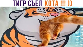 ОГО! ТИГР СЪЕЛ КОТА! ))) Приколы с котами | Мемозг 1231
