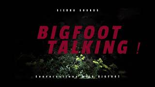 Bigfoot Talking Sierra Sounds Samurai Sounds by Ron Morehead 1971 | BIGFOOT ENCOUNTERS