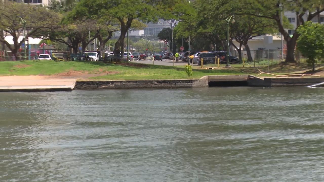 Ala Wai Canal cleanup is focus of 2023 recommendations - YouTube