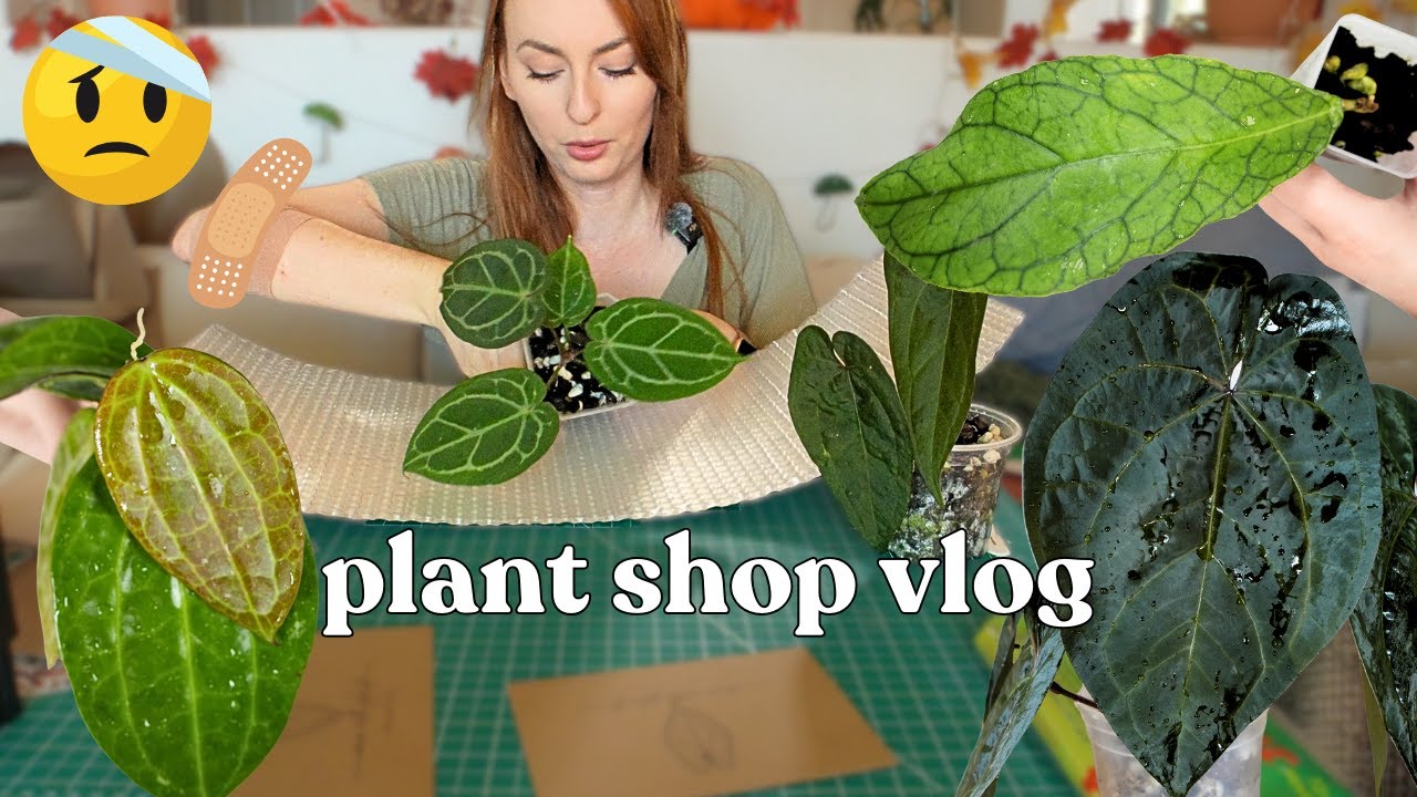 управляю магазином растений из дома (это много) + получаю травмы 🥴🩹