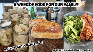 First week after the bulk grocery run, Gluts and making sure we use them!  - Off Grid Australia screenshot 4