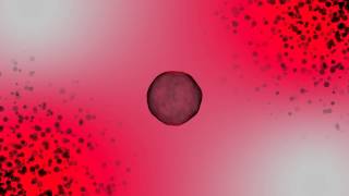 Burns - Lies Otto Knows Remix Lyrics Video Edit