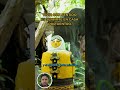 Día 4 - Vive con sentido