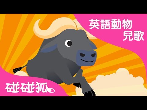 Buffalo | 英語動物兒歌 | 碰碰狐pinkfong ！兒童兒歌