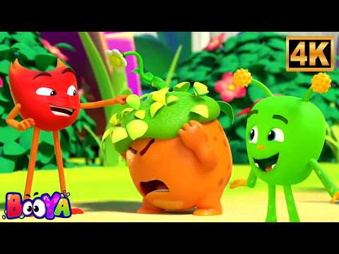 The Seed | Funny Animated Cartoon Story for Kids