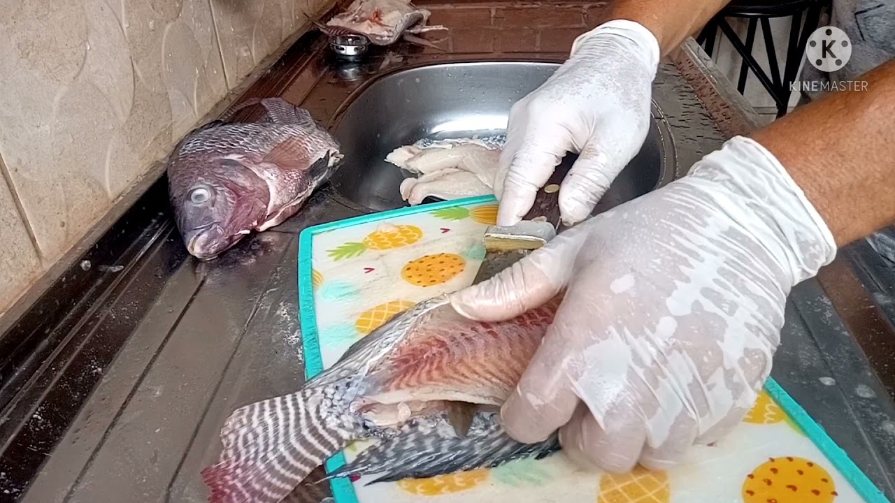 agora ficou fácil, de tirar o filé da tilápia e aproveitar a carcaça ...