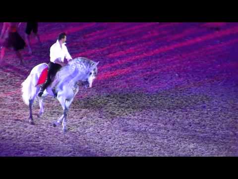 2010 WEG Opening Ceremonies Mario Contreras and Xi...