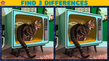 【Find the Difference】 Brain Puzzle Game - Part 134