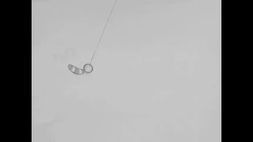 Pendulum/Overlap- Traditional Animation