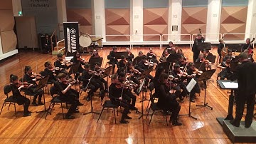 Serenade for String Orchestra IV. Cakewalk -Leyden