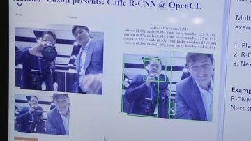 Luxoft Demonstration of Its OpenCL-based Multi Neural Network System