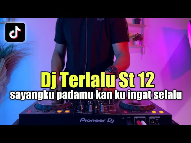 DJ DJ AKU TERASA PILU SAAT KAU BERLALU VIRAL TIKTOK - DJ TERLALU ST 12 FULL BASS class=