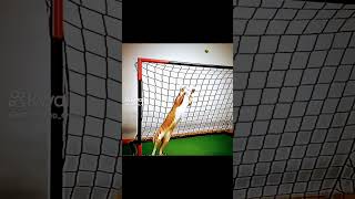 20 De Octubre De 2024