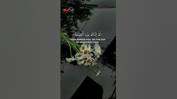 تلاوة خاشعة للشيخ ماهر المعيقلي 🎧❤️‍🩹 #أرح_سمعك_وقلبك #اكسبلور #طمئن_قلبك #ماهر_المعيقلي