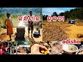      world famous turmeric kandhamal  village life of daringbadi  p4