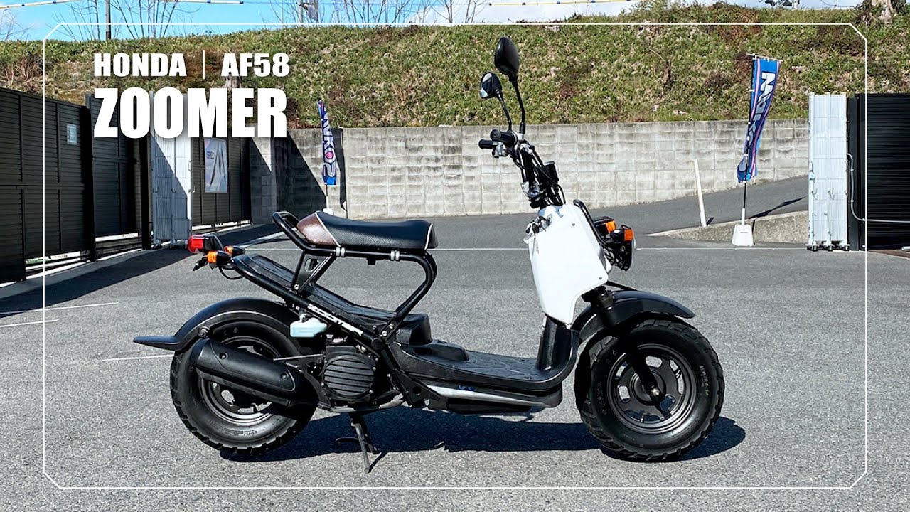 HONDA】ZOOMER｜AF58 - YouTube