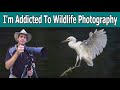 I&#39;m Addicted To Wildlife Photography