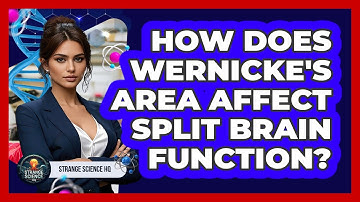 How Does Wernicke