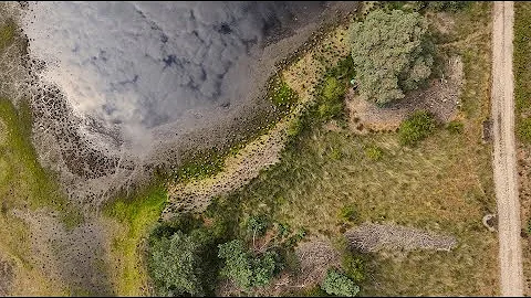 250724 BRAAKHUIZENSE HEIDE - Kiezelven