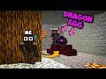 Stealing dragon egg from my brothers secret base  trolling brother 1