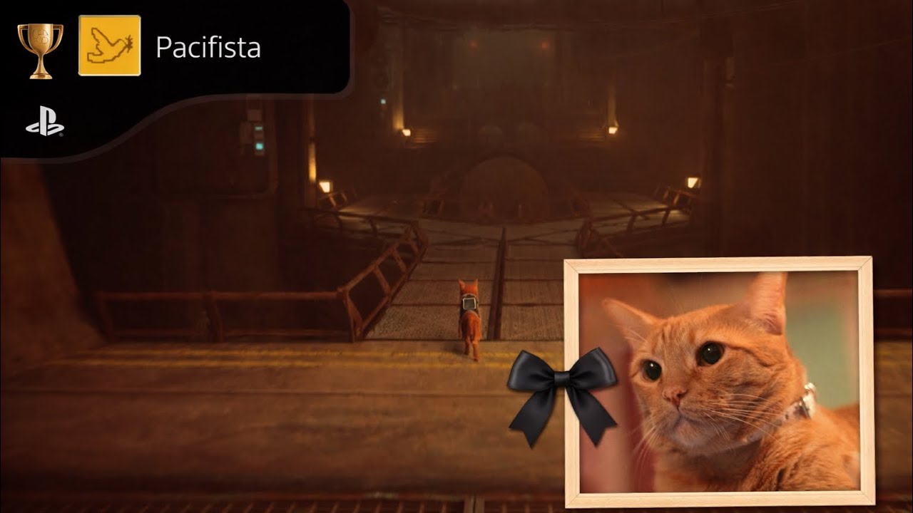 Stray ,🏆: Pacifist [Pacifista / 平和主義者 (へいわしゅぎしゃ)] 