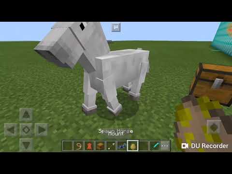 Video: Gdje Mogu Pronaći Konje U Minecraft-u