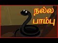    the clever snake  panchatantra moral stories     chiku tv tamil