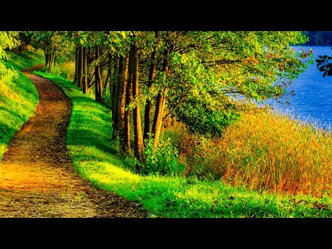Beautiful relaxing hymn, piano instrument, "October Autumn Dawn"