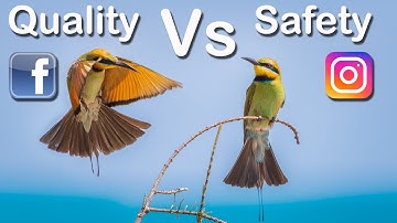 Resize Photos for Social Media