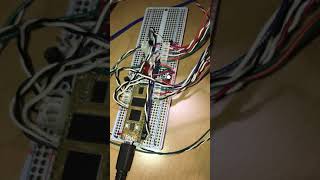 Daisy seed processor - stereo quad resonant filter bank