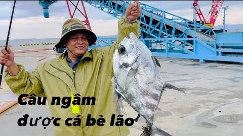 Câu ngâm trúng em cá bè lão - quá đã 🐠🐠🐠#caucagiaitri #cauca #fishing #câucábiển